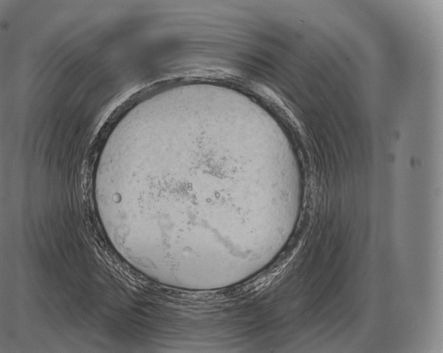 X0000083970875200703161528