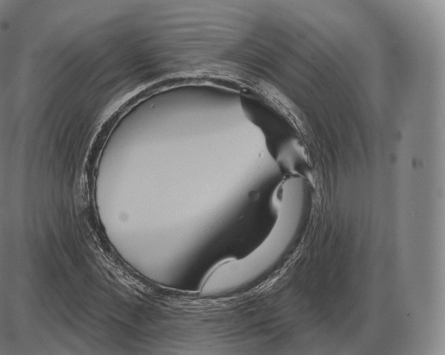 X0000083970876200703161528