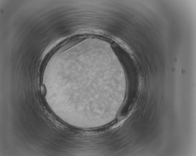 X0000083970877200703161528