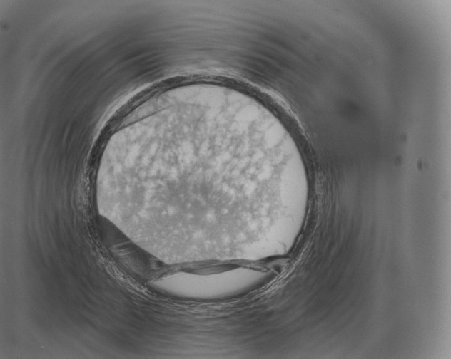 X0000083970879200703161528