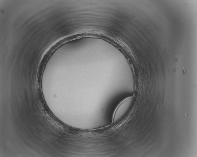 X0000083970880200703161528