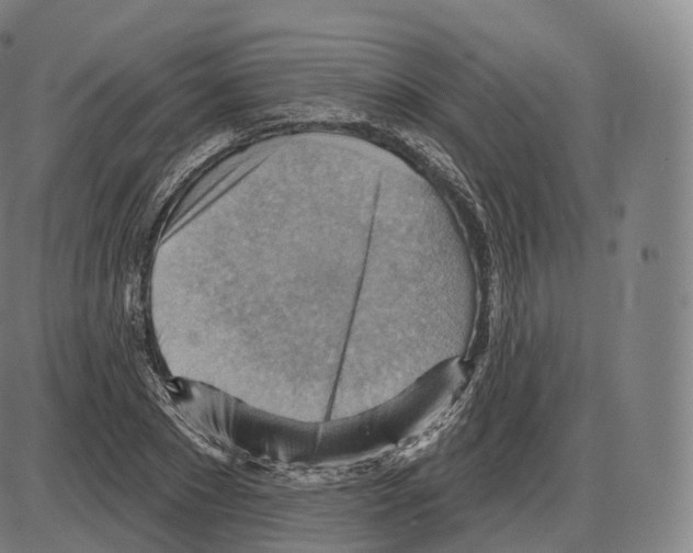 X0000083970881200703161528