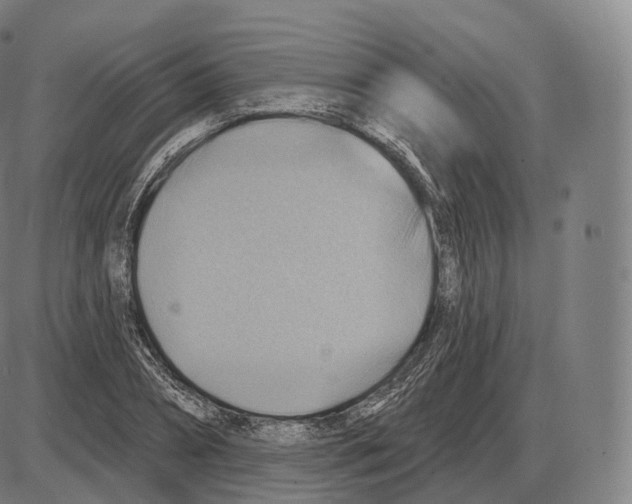 X0000083970882200703161528