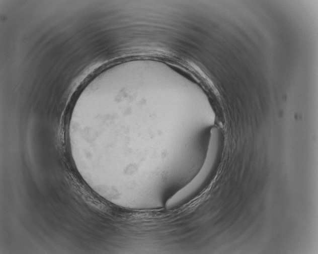 X0000083970883200703161528