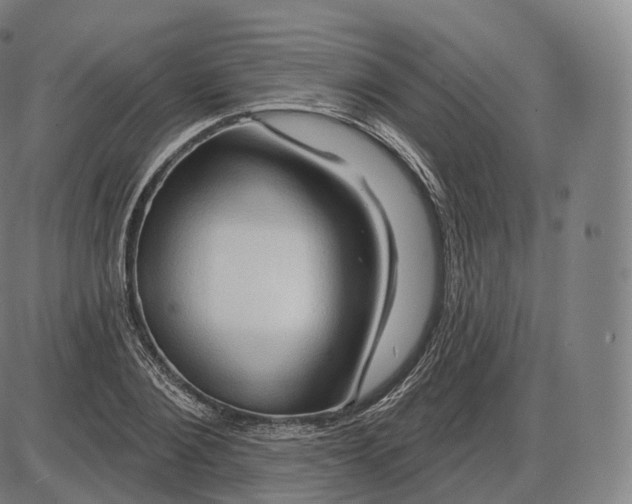 X0000083970884200703161528