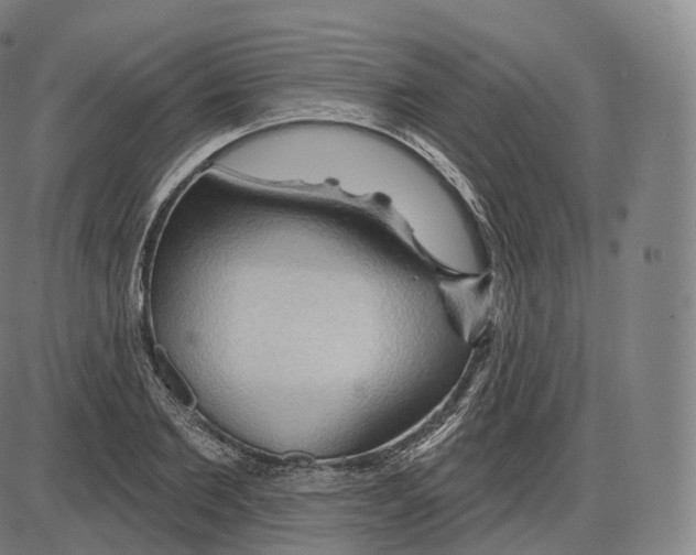 X0000083970885200703161528