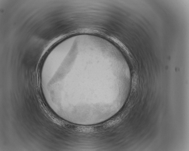 X0000083970886200703161528