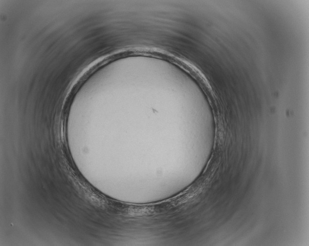 X0000083970887200703161528