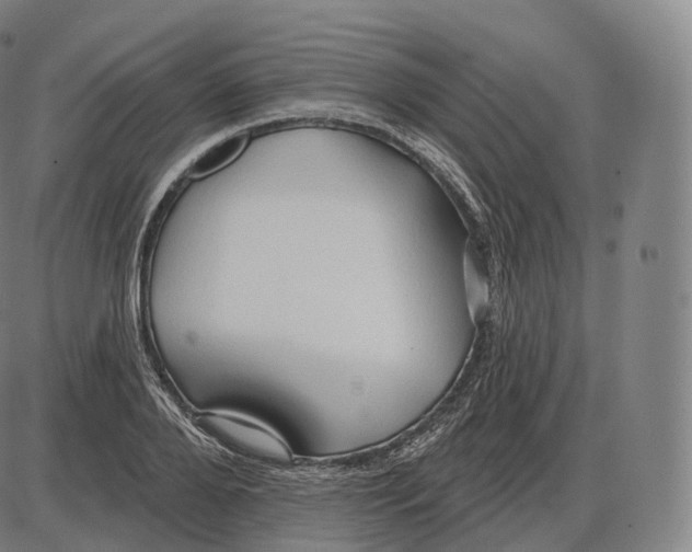 X0000083970888200703161528