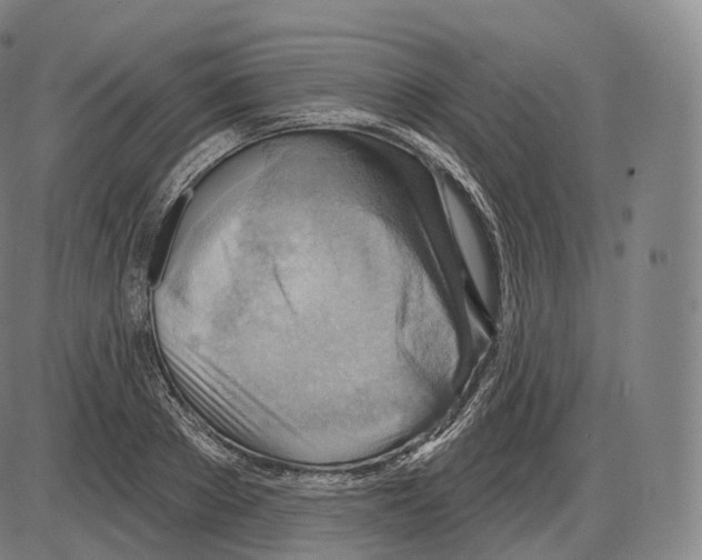 X0000083970889200703161528