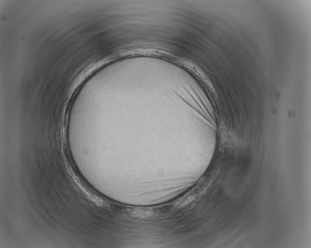 X0000083970890200703161528