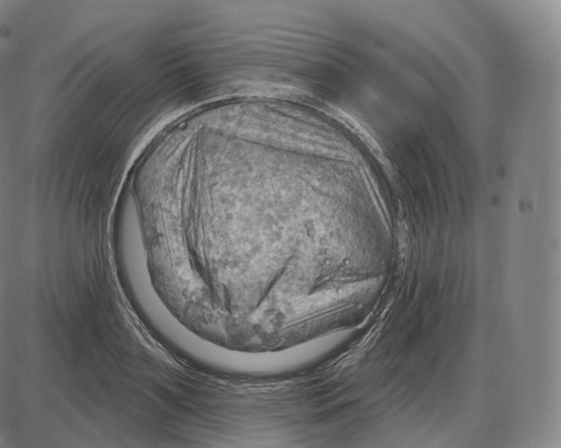 X0000083970891200703161528