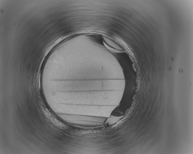 X0000083970892200703161528