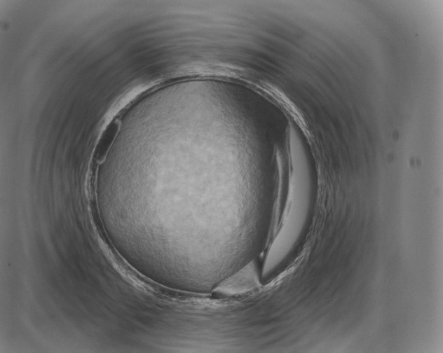 X0000083970893200703161528