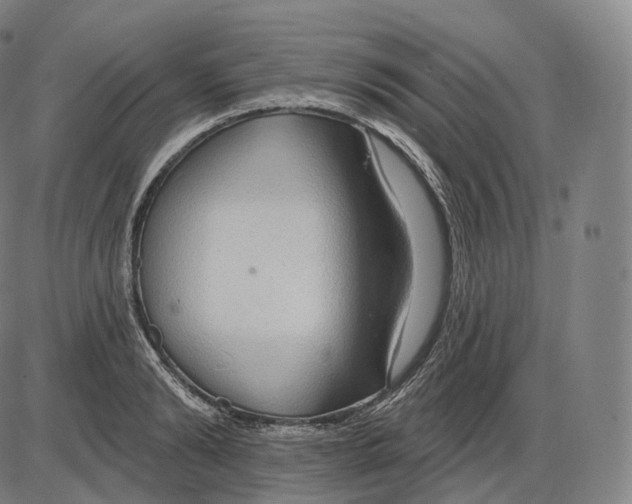 X0000083970894200703161528