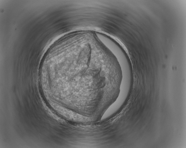 X0000083970895200703161528