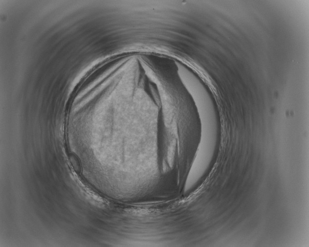 X0000083970896200703161528