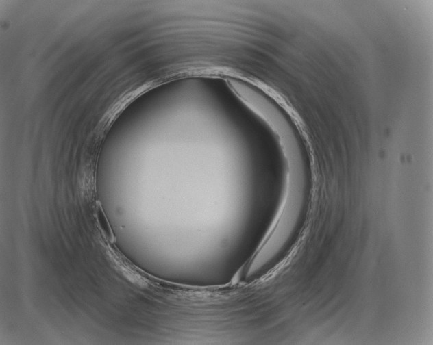 X0000083970897200703161528