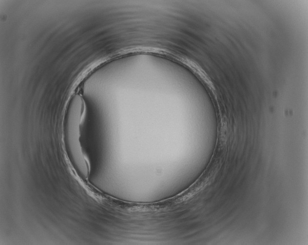 X0000083970898200703161528