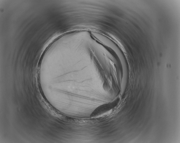 X0000083970899200703161528