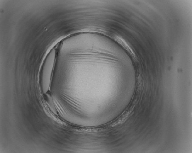 X0000083970900200703161528