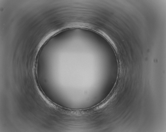 X0000083970901200703161528