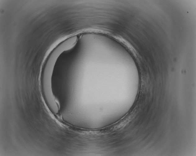 X0000083970902200703161528