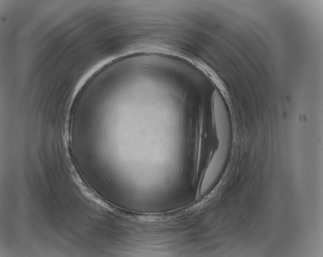 X0000083970904200703161528