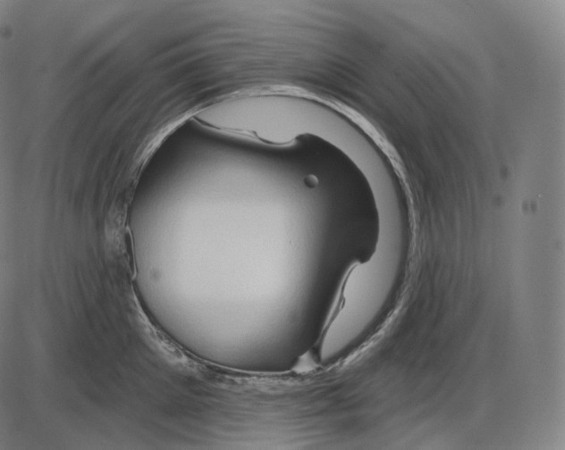 X0000083970905200703161528