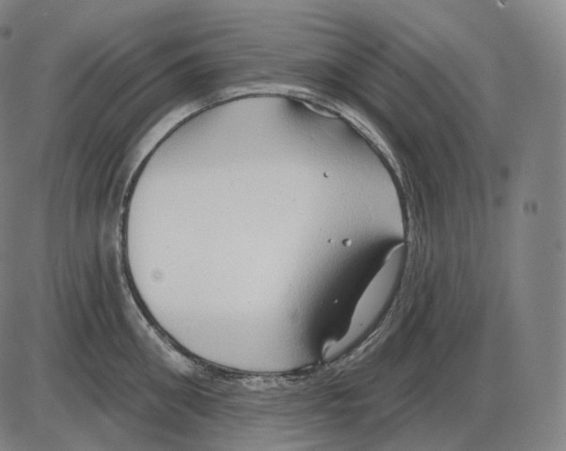 X0000083970906200703161528