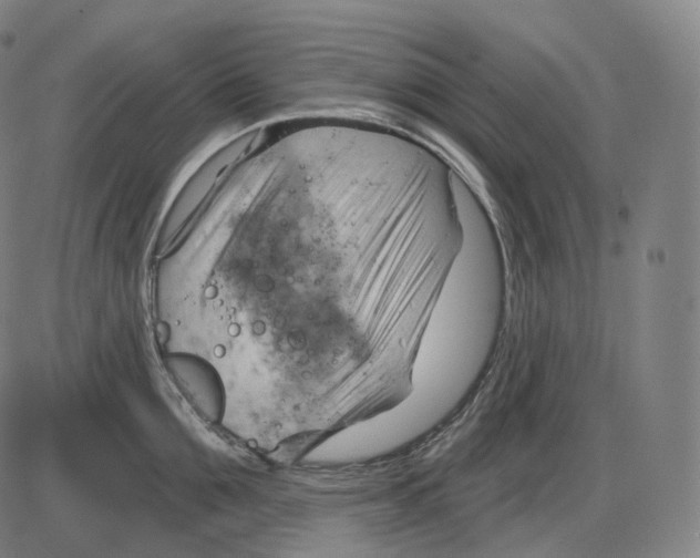 X0000083970907200703161528