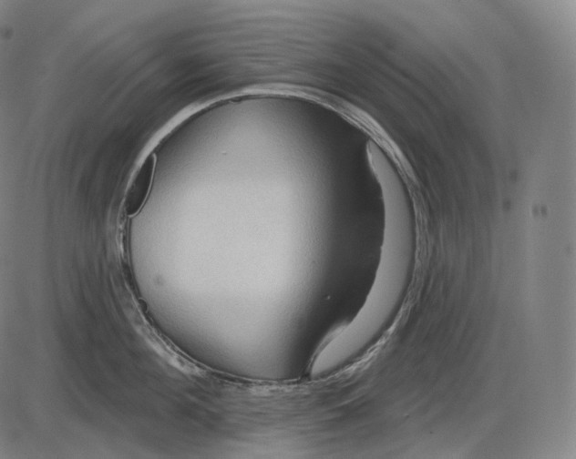 X0000083970908200703161528