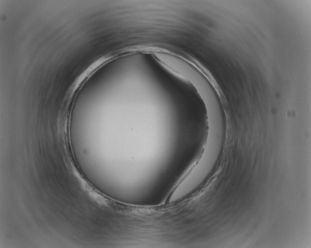 X0000083970909200703161528