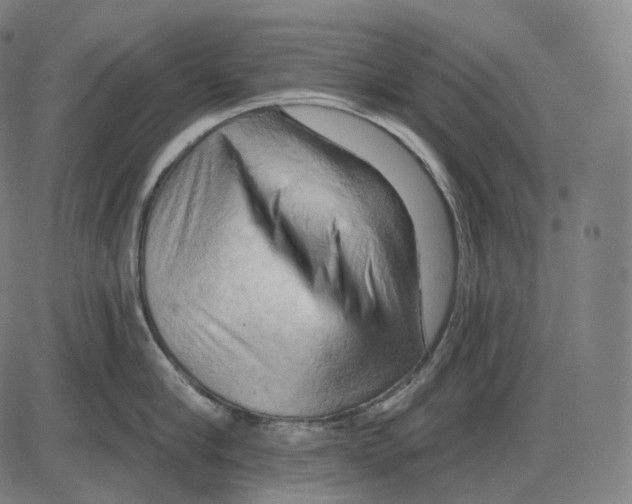 X0000083970910200703161528