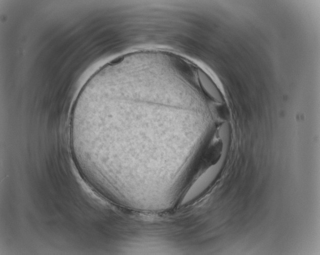 X0000083970911200703161528