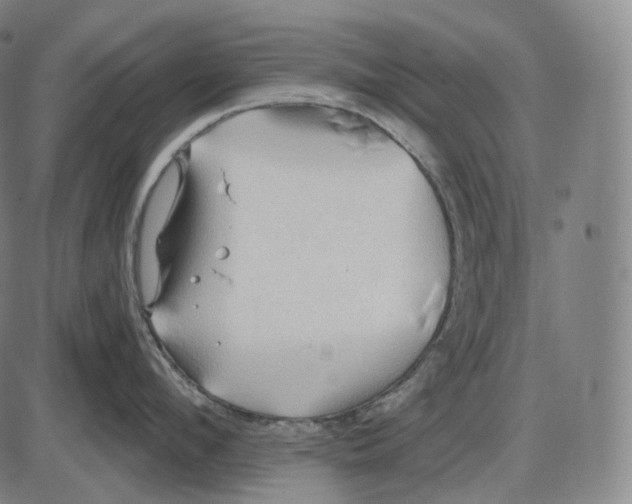 X0000083970912200703161528