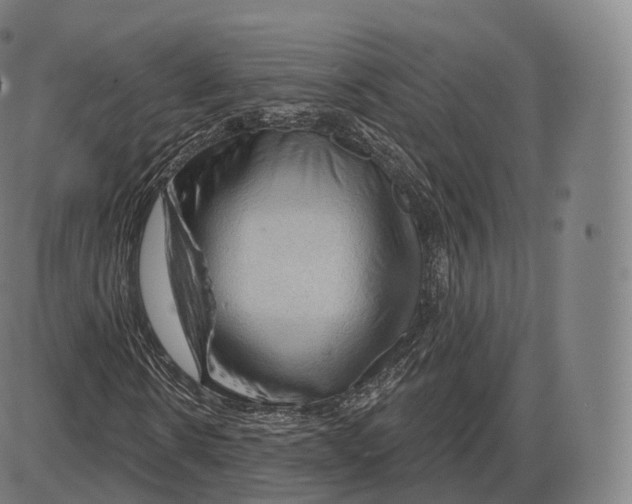 X0000083970914200703161527