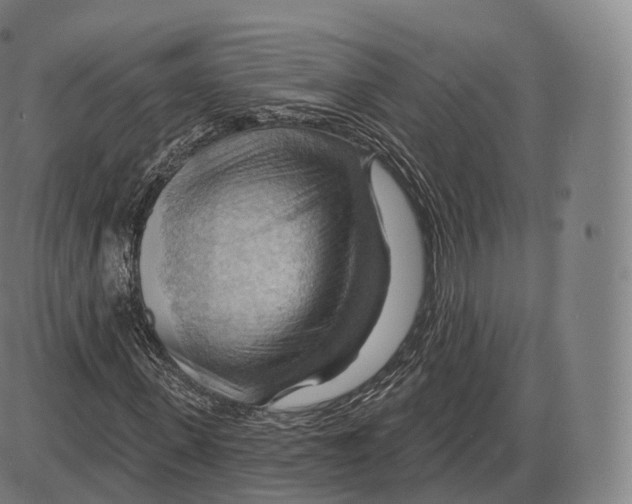 X0000083970915200703161527