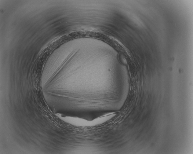 X0000083970919200703161527