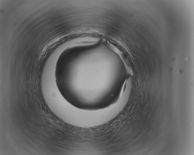 X0000083970920200703161527