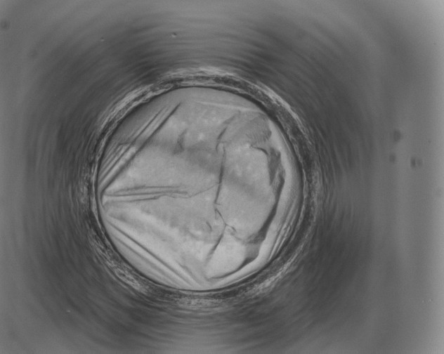 X0000083970921200703161527