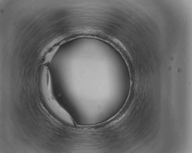 X0000083970922200703161527