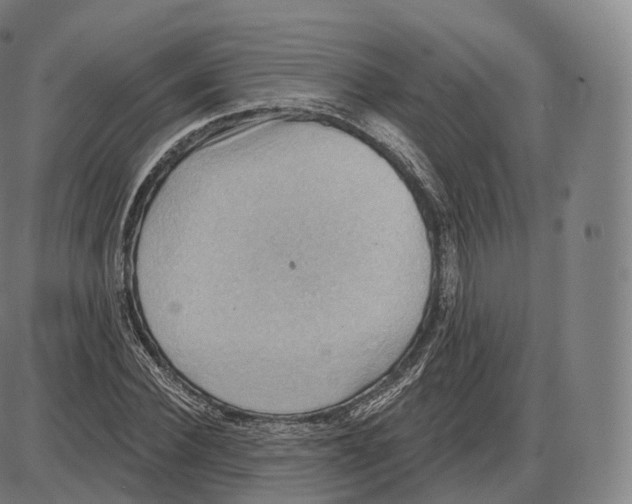 X0000083970924200703161527