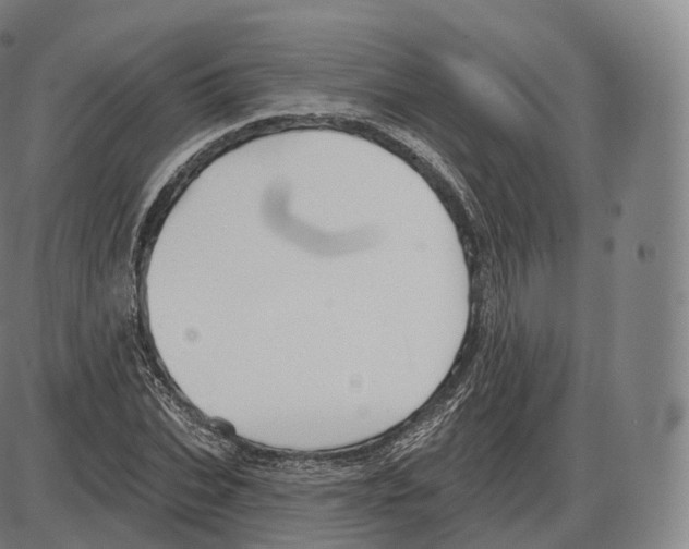 X0000083970927200703161527