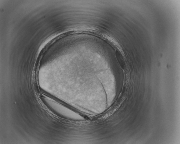 X0000083970928200703161527