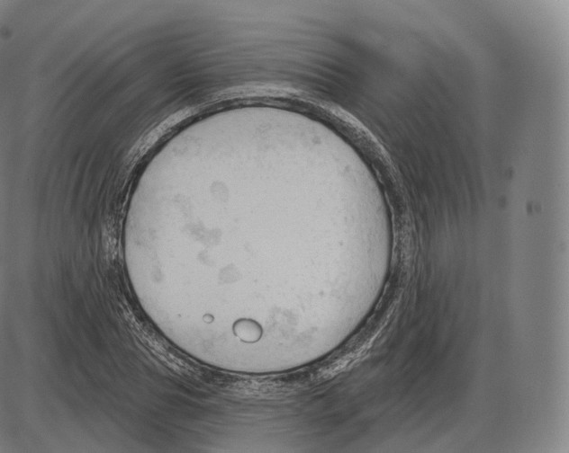 X0000083970929200703161527