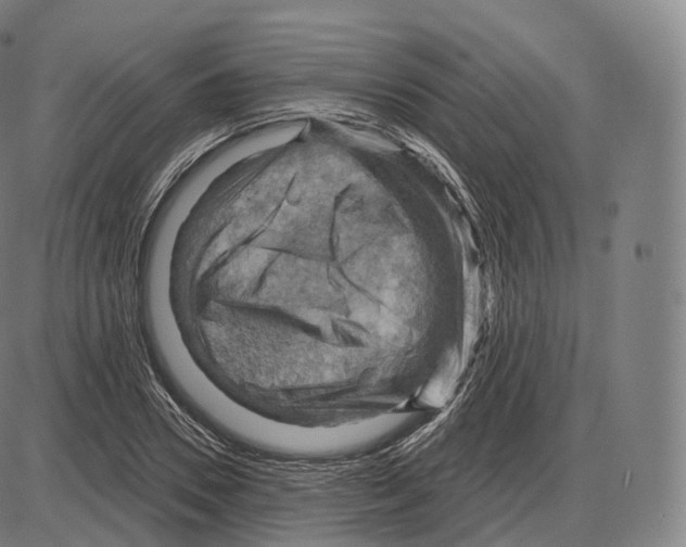 X0000083970930200703161527