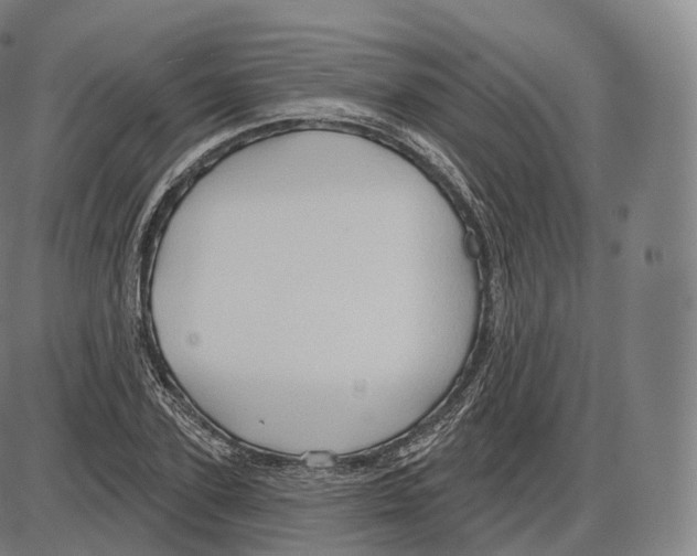 X0000083970931200703161527