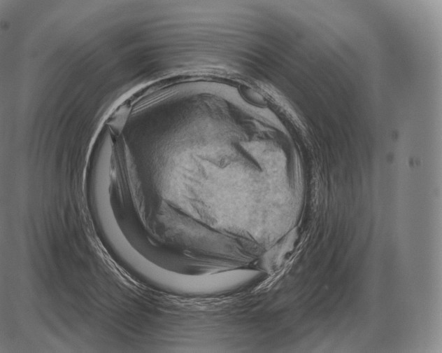 X0000083970932200703161527