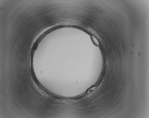 X0000083970934200703161527